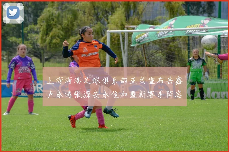 上海海港足球俱乐部正式宣布岳鑫卢永涛张源安永佳加盟新赛季阵容更新