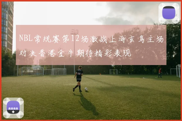 NBL常规赛第12场激战上海玄鸟主场对决香港金牛期待精彩表现